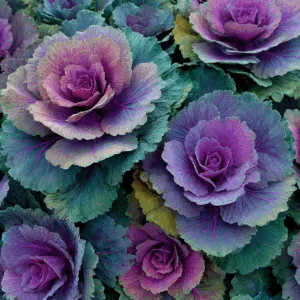 Mulher morre após intoxicação alimentar por ingestão de planta tóxica em Guimarânia