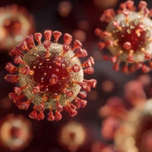 Coronavírus inédito descoberto em morcegos no Brasil: o que isso significa para a saúde global?