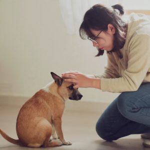 Como saber se meu pet precisa ir ao veterinário: sinais de alerta e cuidados essenciais