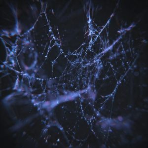 Google decide parar de rastrear a dark web: entenda os motivos e impactos