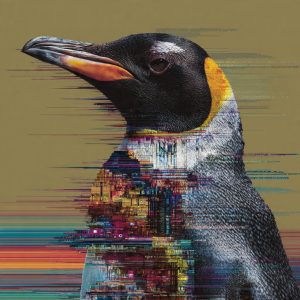 Pinguim em alta: Linux registra adoção recorde nos PCs gamers