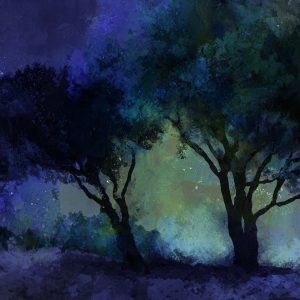 A descoberta científica surpreendente de que as árvores também tiram uma soneca durante a noite