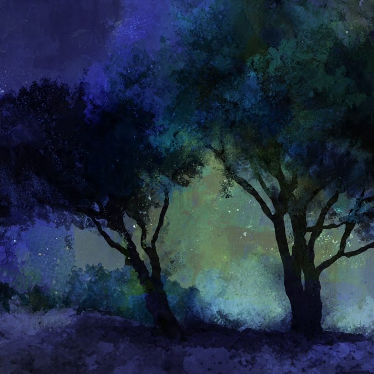 A descoberta científica surpreendente de que as árvores também tiram uma soneca durante a noite