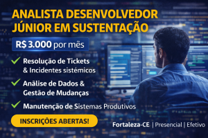 Analista Desenvolvedor Júnior em Sustentação: Como Construir Carreira em Suporte de Sistemas, Gestão de Incidentes e Desenvolvimento de Software