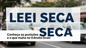 Lei Seca: conheça as punições e o que muda no trânsito brasileiro