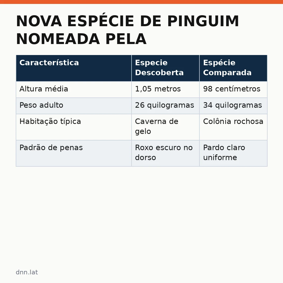 Infográfico - Nova espécie de pinguim nomeada pela primeira vez em mais de cem anos: ciência descobre gigante das Antártidas
