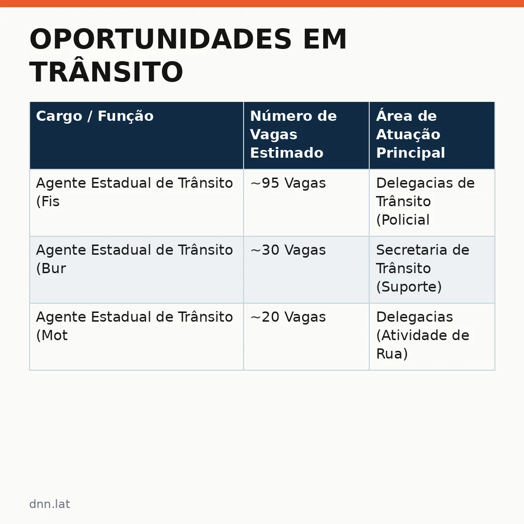 Infográfico - Oportunidades em Trânsito: DETRAN-SP Abre Concurso com Vagas para Agentes Estaduais