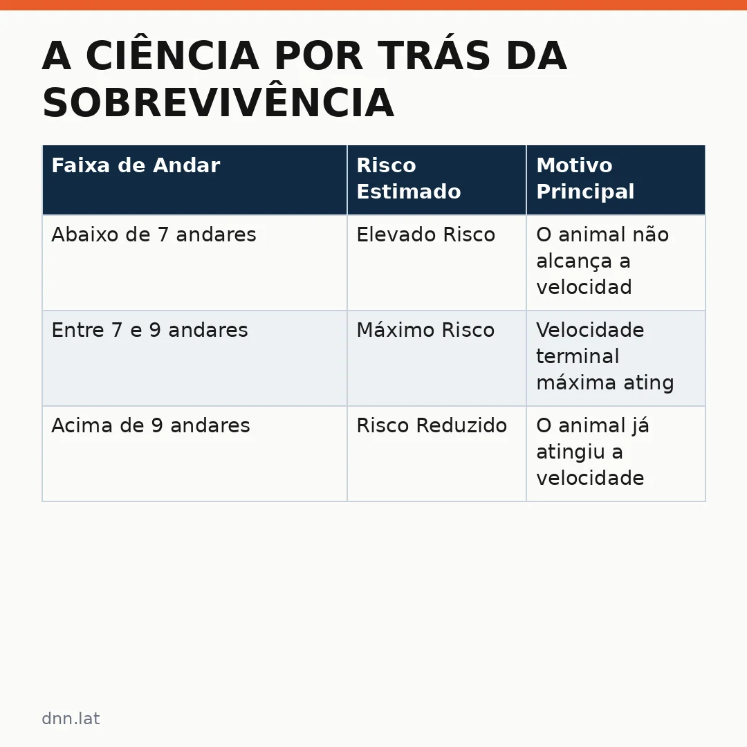 Infográfico - A Ciência por Trás da Sobrevivência dos Gatos em Altura
