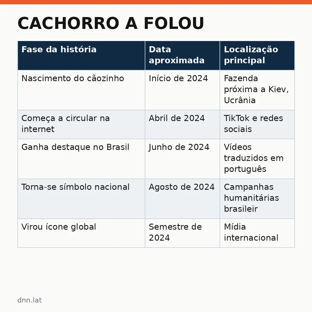 Infográfico - Cachorro A Folou: o cãozinho ucraniano que conquistou corações brasileiros